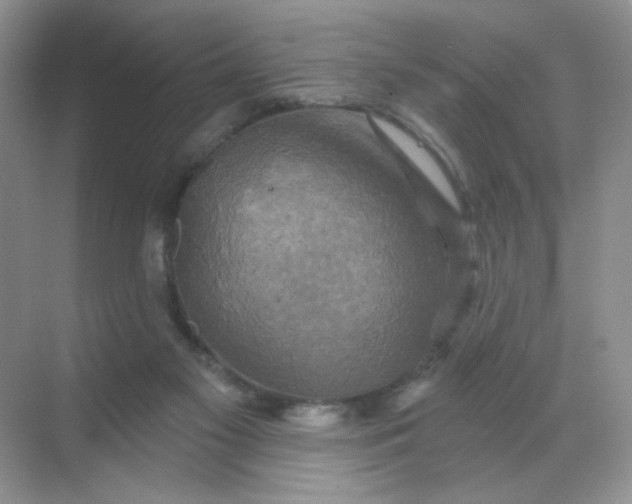 X0000068890117200605192145