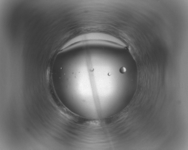 X0000068890118200605192145