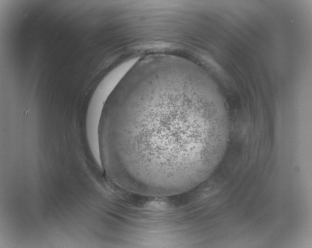 X0000068890119200605192145