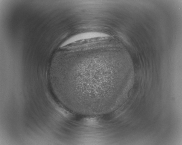 X0000068890120200605192145