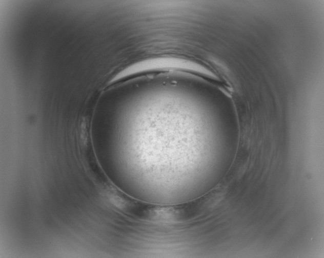 X0000068890121200605192145