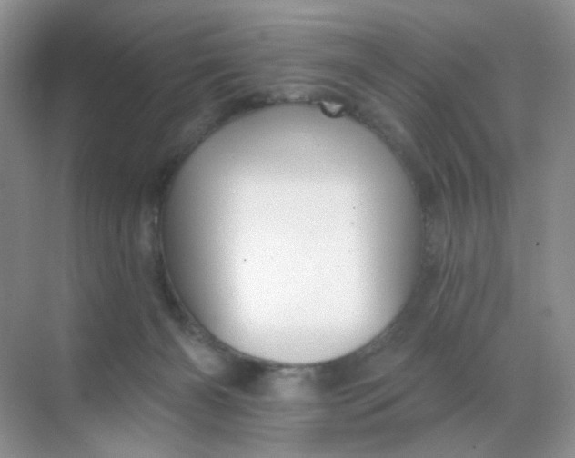 X0000068890126200605192145