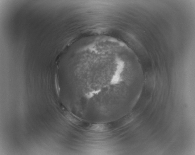 X0000068890127200605192145