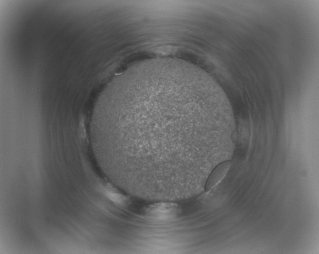 X0000068890128200605192145