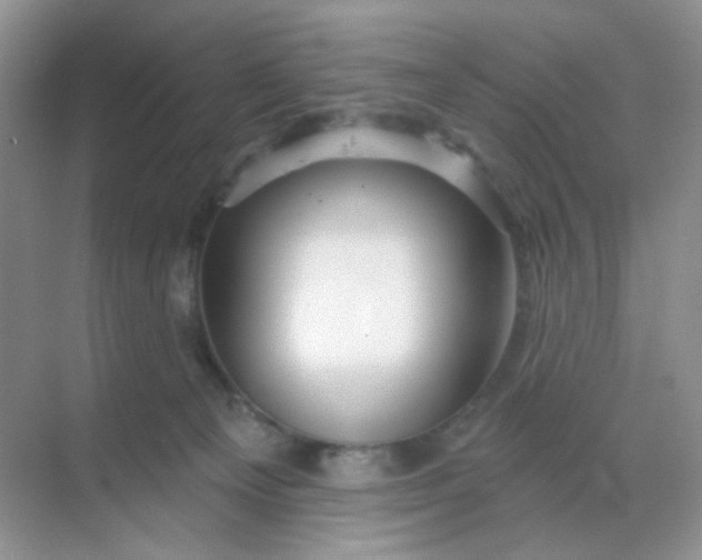 X0000068890129200605192145