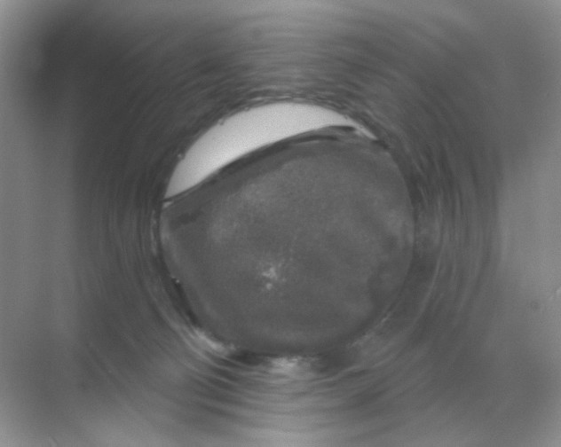 X0000068890130200605192145