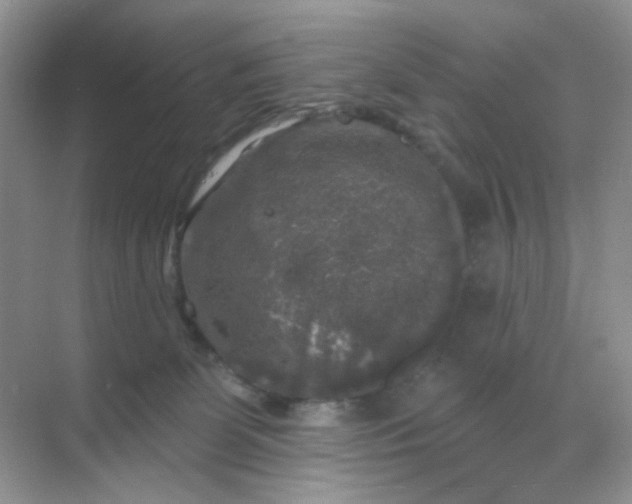 X0000068890131200605192145