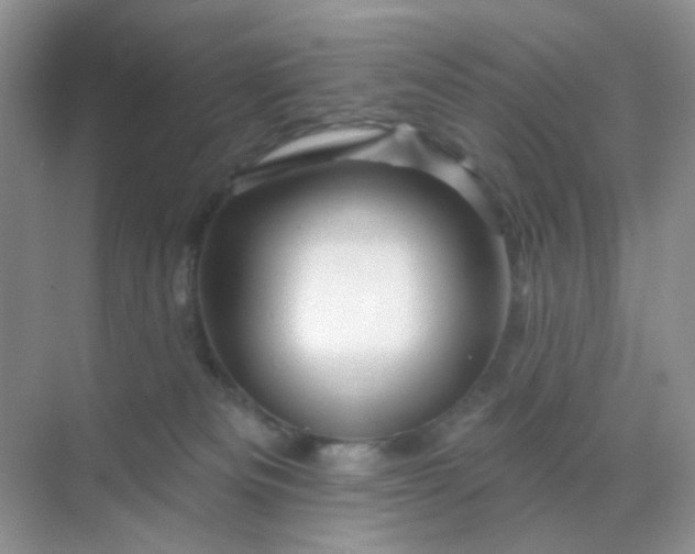 X0000068890133200605192145