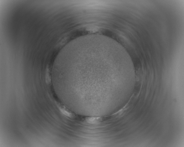 X0000068890136200605192145