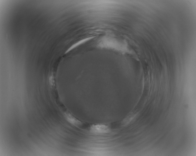 X0000068890137200605192145