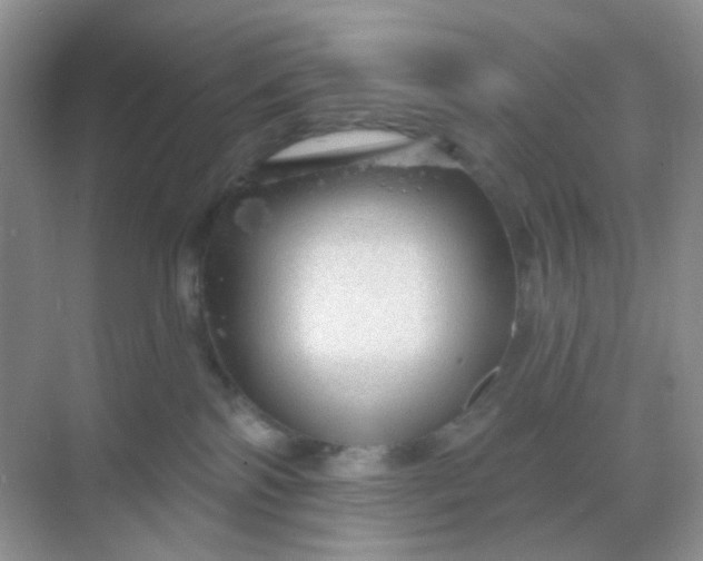 X0000068890138200605192145