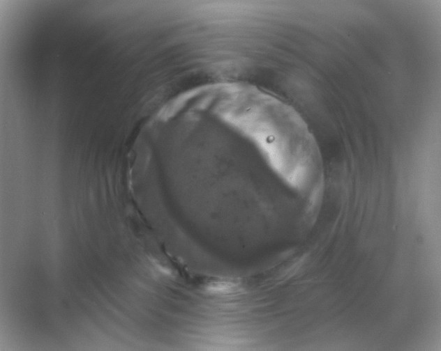 X0000068890139200605192145