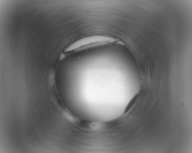 X0000068890142200605192145