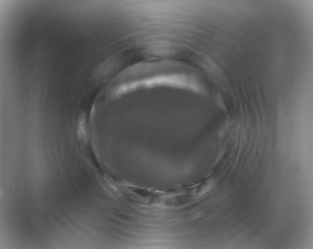 X0000068890143200605192144