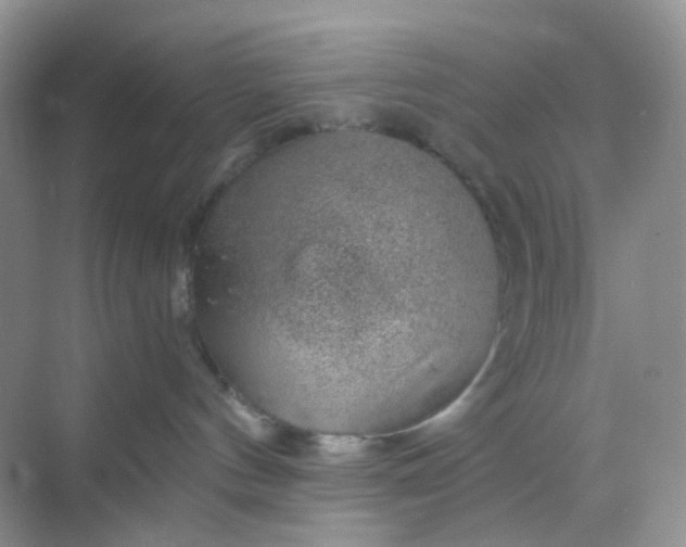 X0000068890144200605192144