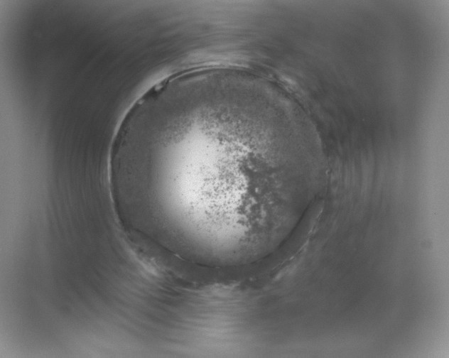 X0000068890148200605192144