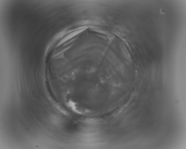 X0000068890149200605192144