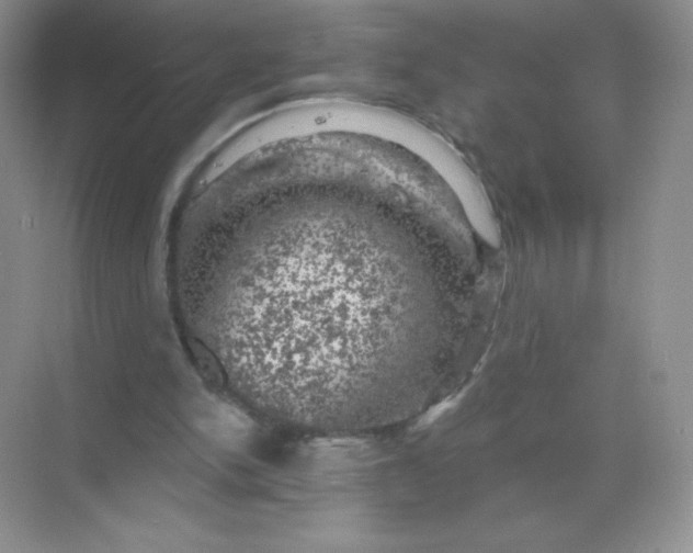 X0000068890150200605192144