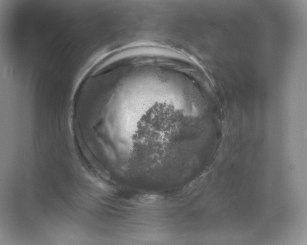 X0000068890152200605192144