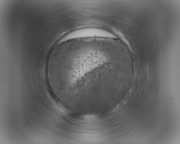 X0000068890154200605192144