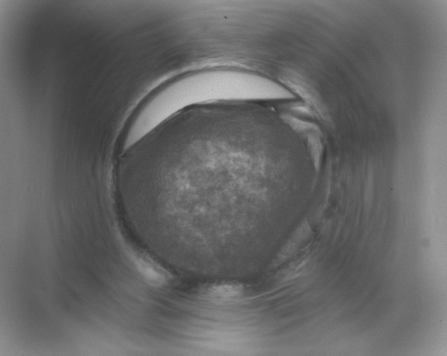 X0000068890156200605192144