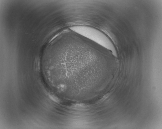 X0000068890157200605192144