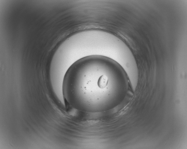 X0000068890158200605192144