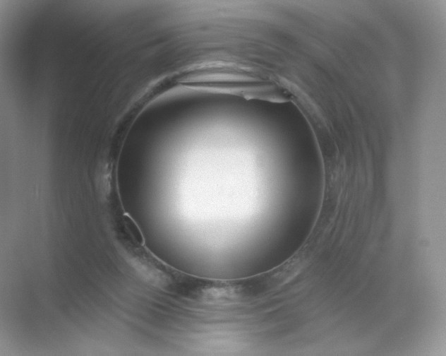 X0000068890160200605192144