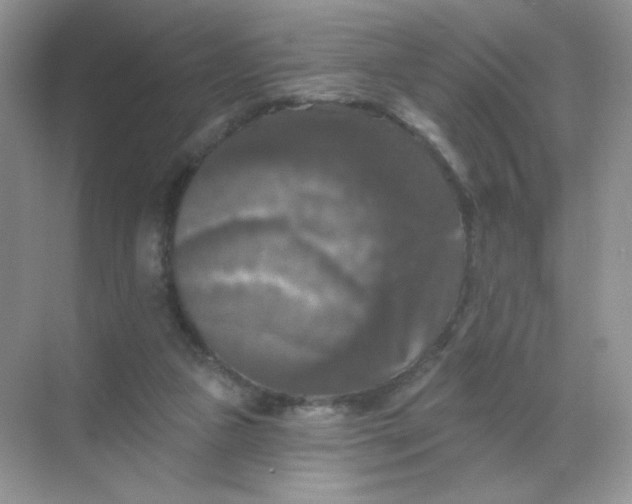 X0000068890161200605192144