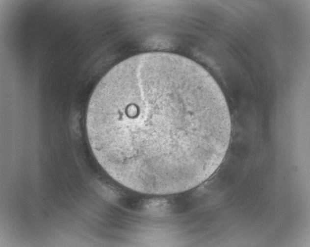 X0000068890162200605192144