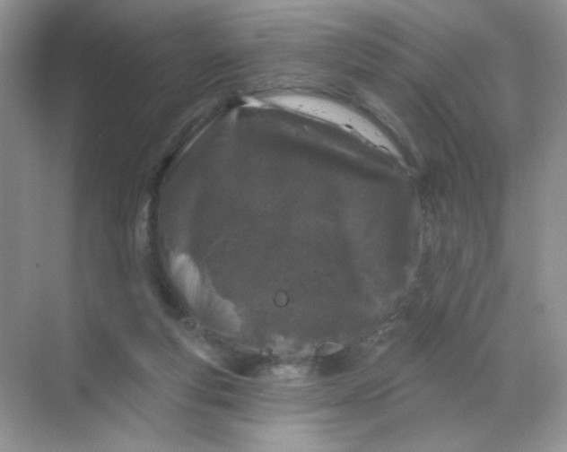 X0000068890163200605192144