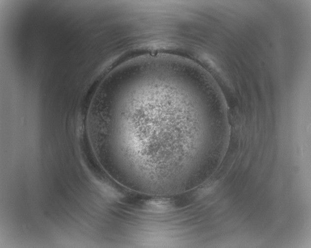 X0000068890164200605192144