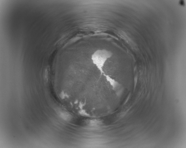 X0000068890165200605192144