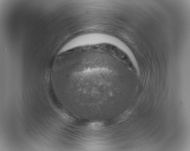 X0000068890168200605192144