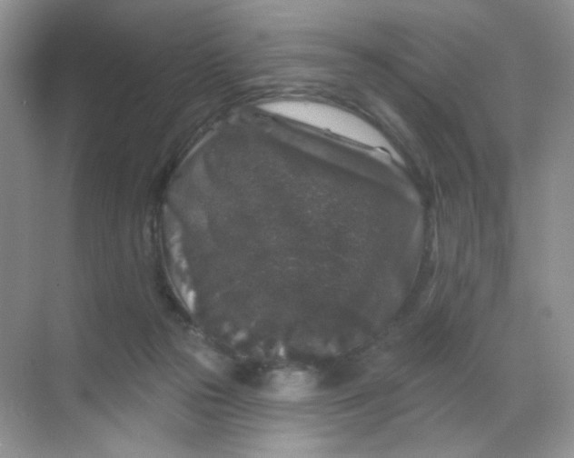 X0000068890169200605192144