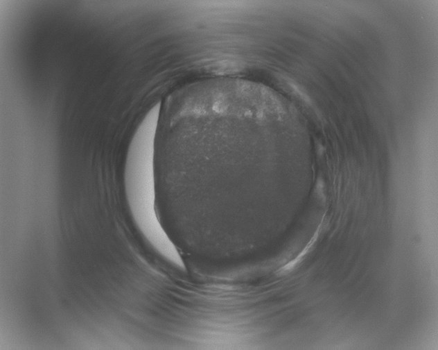 X0000068890170200605192144