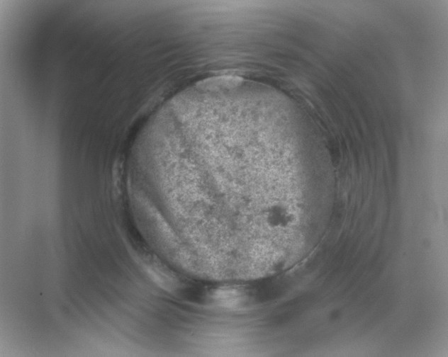 X0000068890171200605192144