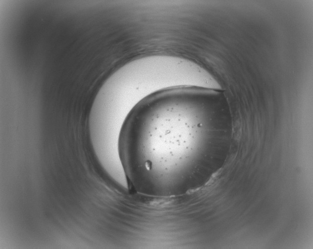 X0000068890172200605192144