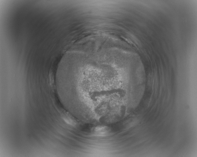 X0000068890173200605192144