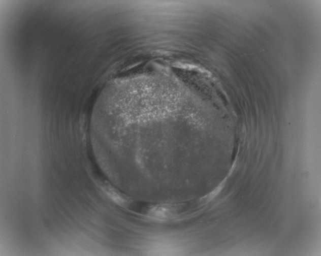 X0000068890174200605192144