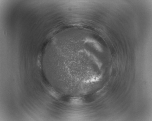 X0000068890175200605192144