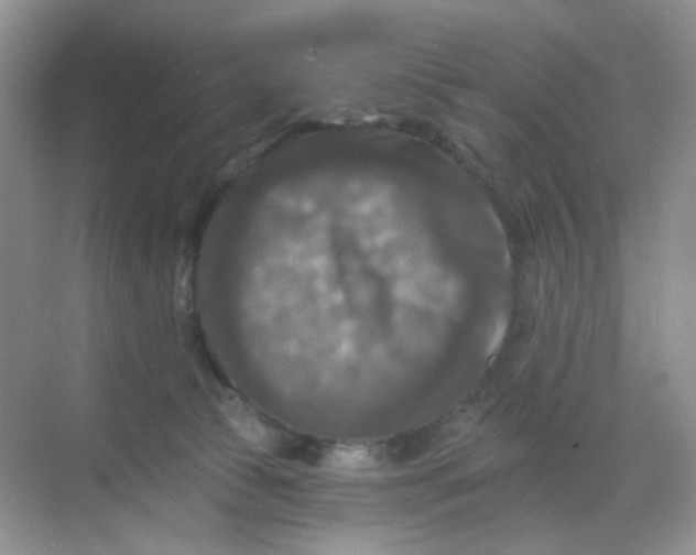 X0000068890177200605192144