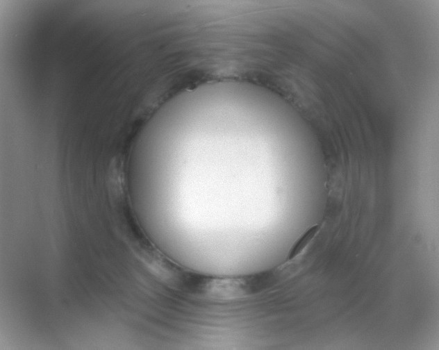 X0000068890179200605192144