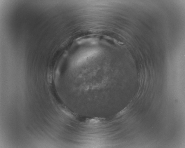 X0000068890180200605192144