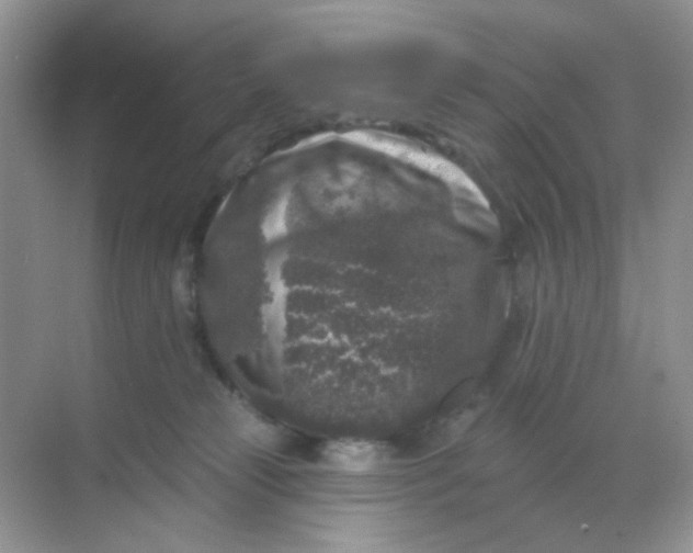 X0000068890181200605192144