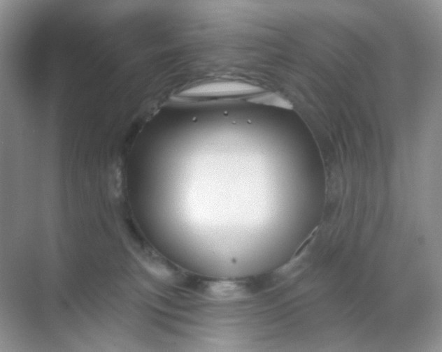 X0000068890183200605192144