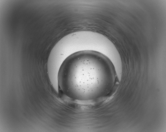 X0000068890184200605192144