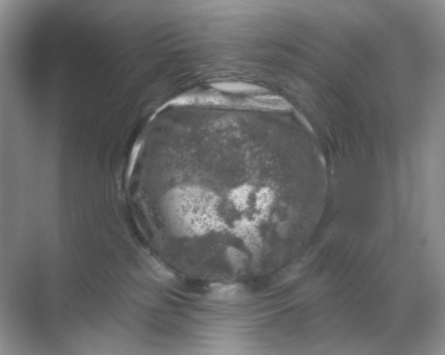 X0000068890185200605192144