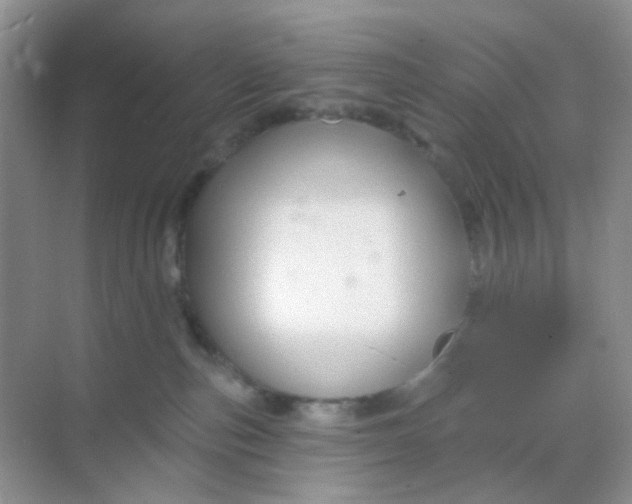 X0000068890187200605192144