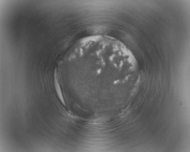 X0000068890189200605192144